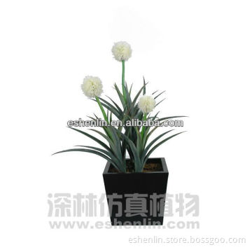 artificial Hoya Archboldiana plant